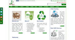 Desktop Screenshot of nevinosystems.net